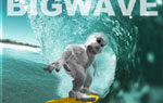 Il gioco dello Yeti parte 6 - The Bigwave (Hawaii)