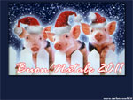 Anteprima della Cartolina d'Auguri