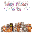 gattini happy birthday